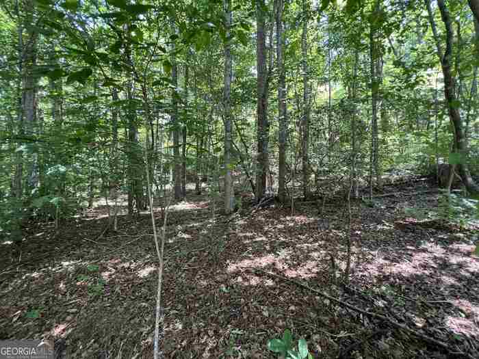 photo 1: LOT 5 Sautee Ridge Road, Clarkesville GA 30523