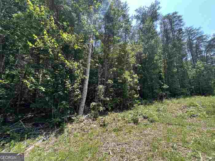 photo 2: LOT 5 Sautee Ridge Road, Clarkesville GA 30523