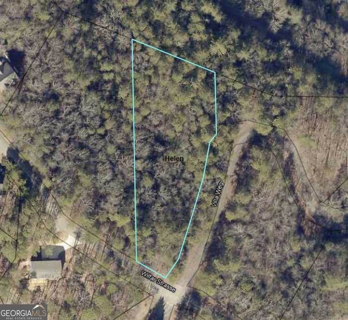 photo 2: LOT 2 Villa Weg, Helen GA 30545