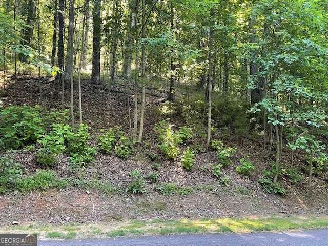 photo 1: LOT #61 Mountainside Drive, Cleveland GA 30528