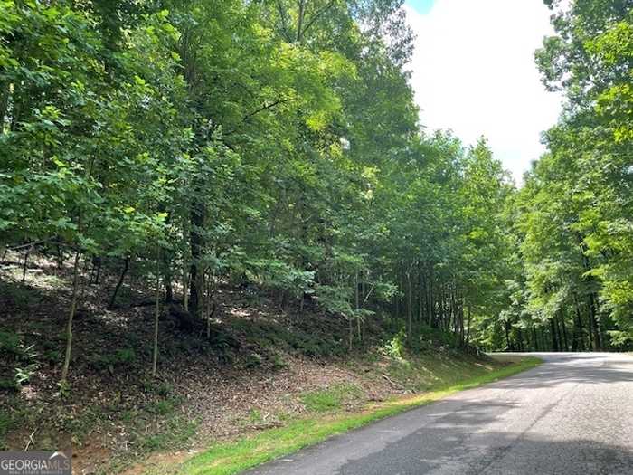 photo 2: LOT #61 Mountainside Drive, Cleveland GA 30528