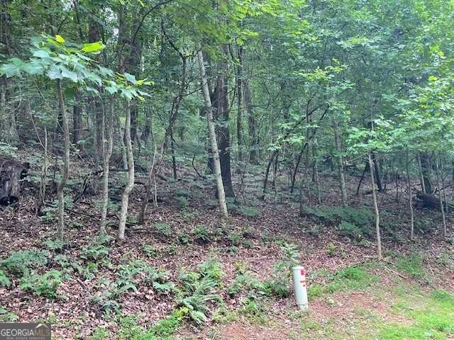 photo 3: LOT #61 Mountainside Drive, Cleveland GA 30528