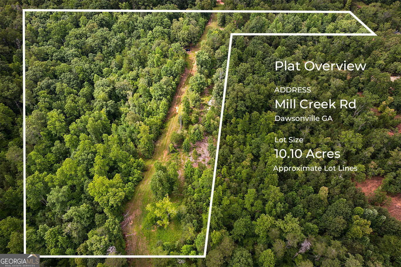 photo 2: Mill Creek Road, Dahlonega GA 30533