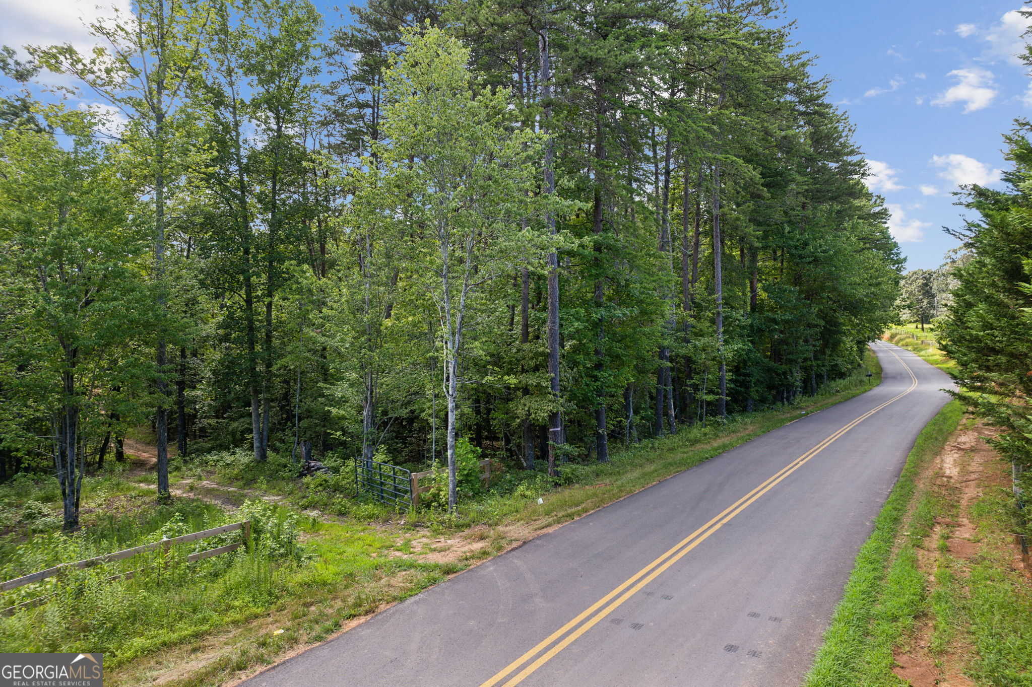 photo 3: Mill Creek Road, Dahlonega GA 30533