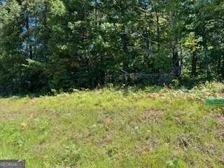 photo 3: 491 East Wolf Creek Tract 1 Road, Lakemont GA 30552