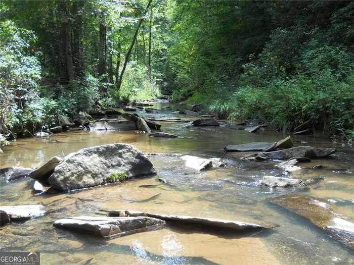 photo 14: LOT145 Foxglove Trail, Ellijay GA 30540