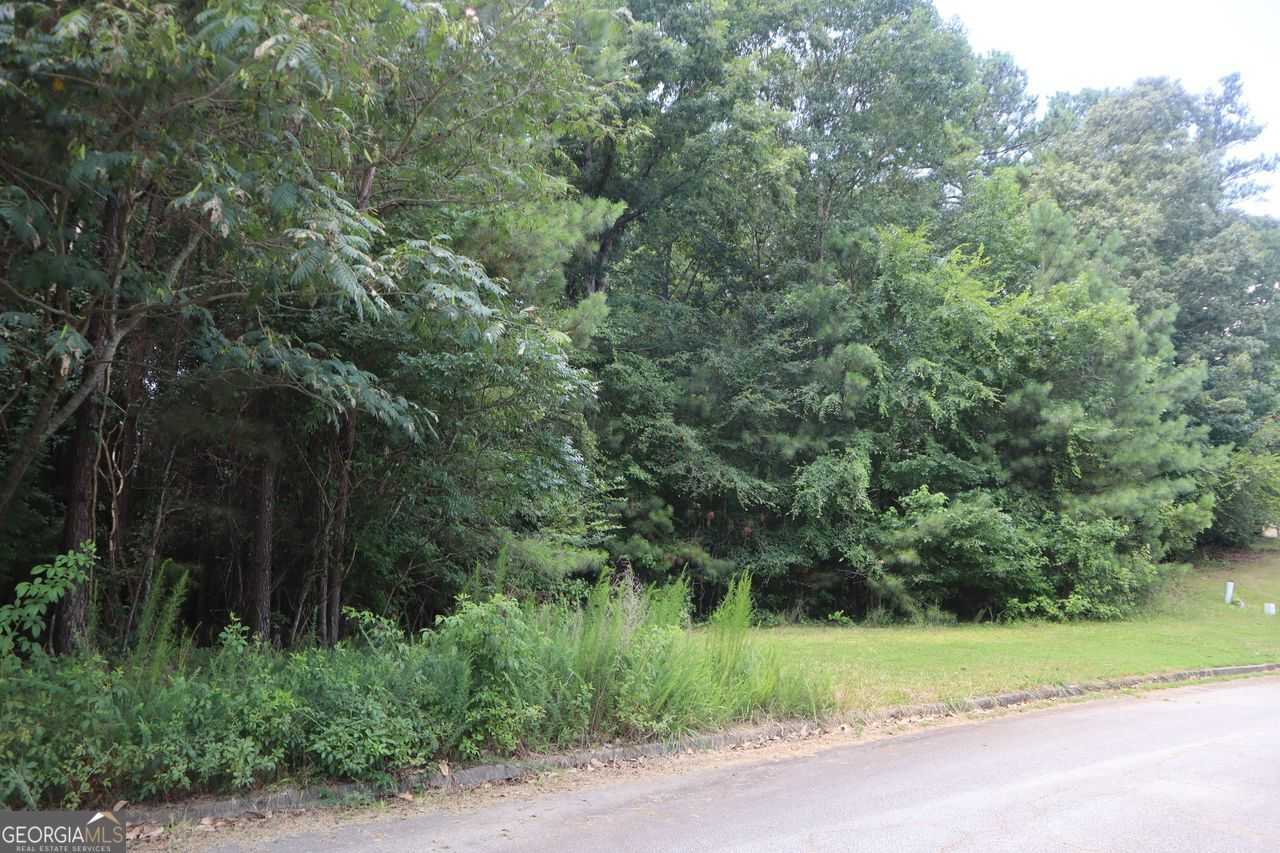 photo 3: 1805 Alcovy Ridge Lane, Loganville GA 30052