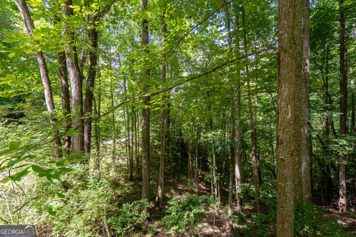 photo 6: 12 Walnut Mountain Road, Rabun Gap GA 30568