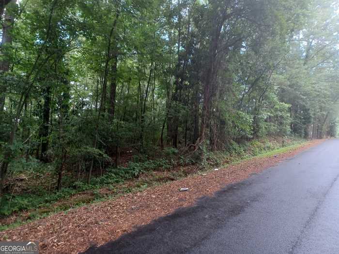 photo 2: ARROWHEAD Drive, West Point GA 31833