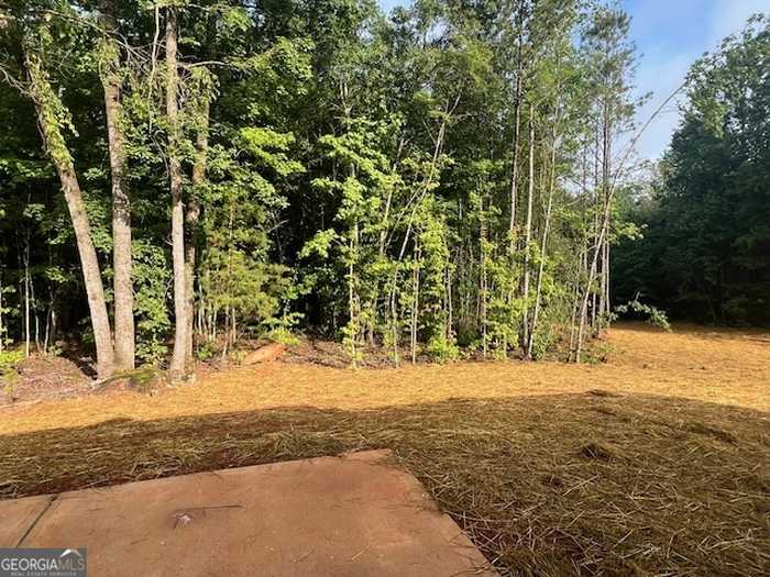 photo 23: 160 Glenview Way Unit LOT 11, Thomaston GA 30286