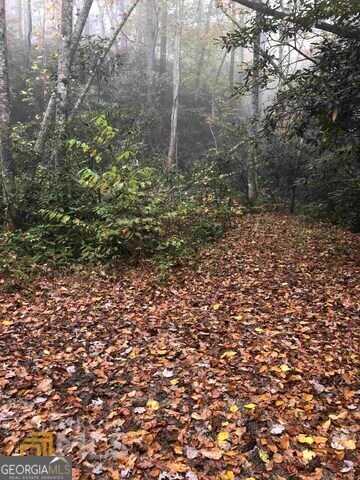 photo 3: Allen Cove Road, Rabun Gap GA 30568