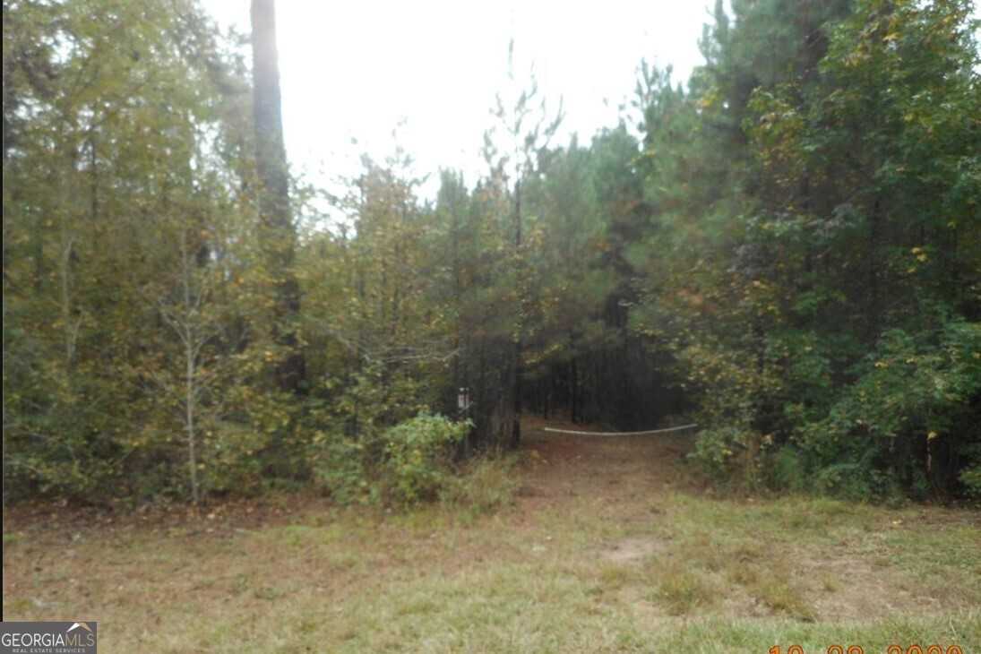 photo 1: TRACT 1 Parker Lane, Greensboro GA 30642