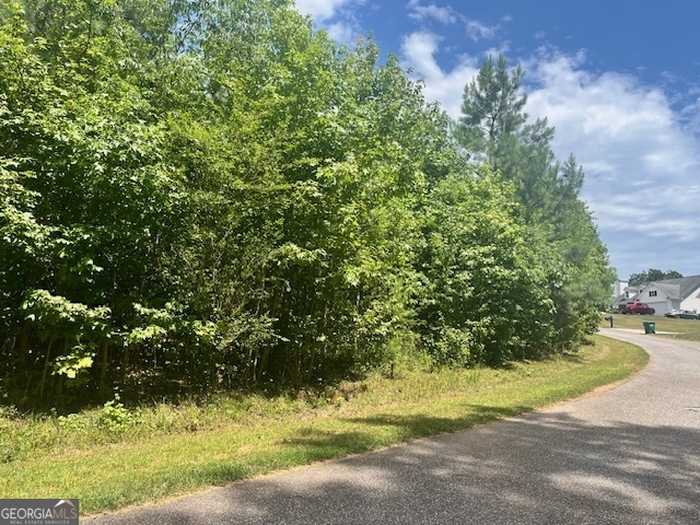 photo 1: LOT 20 Chandler Court Unit 20, Alto GA 30510