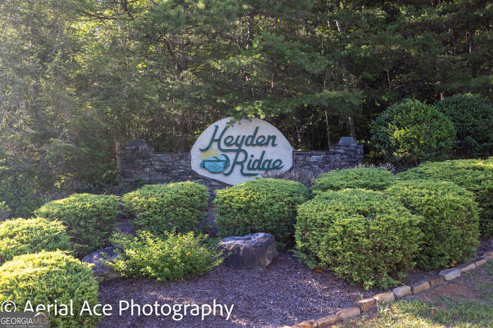 photo 2: 170 Piedmont Mountain Road, Clarkesville GA 30523