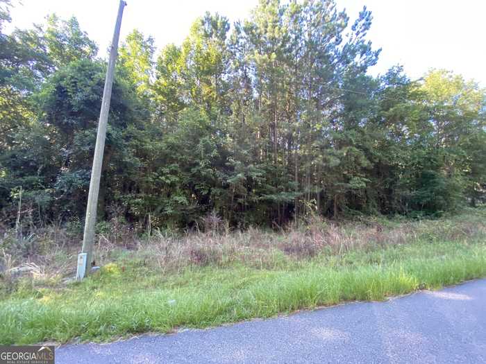 photo 7: LOT 40, 41 Pebble Hills Road, Cochran GA 31014