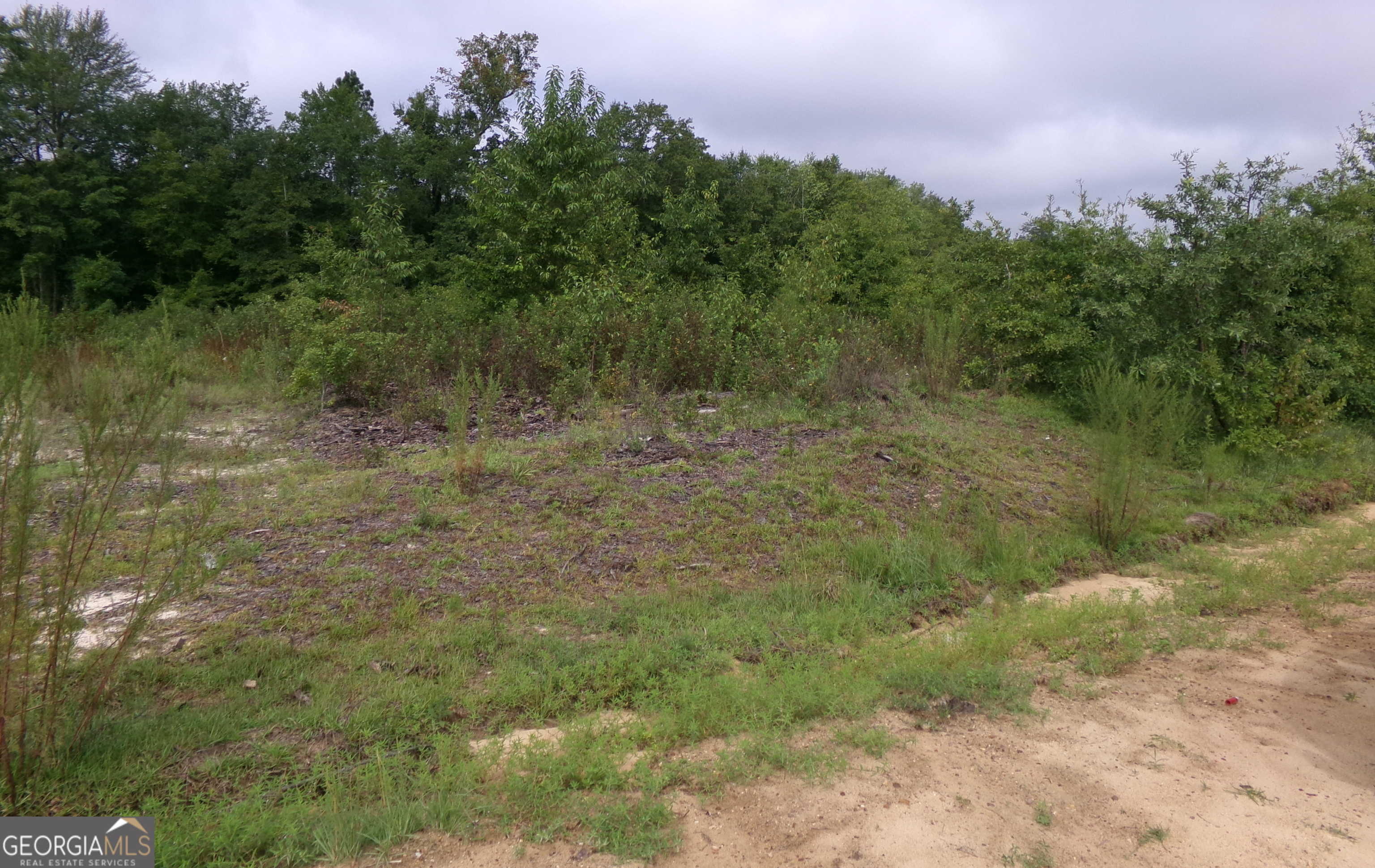 photo 3: LOT 2 MIMOSA ROAD Unit LOT 2, Swainsboro GA 30401