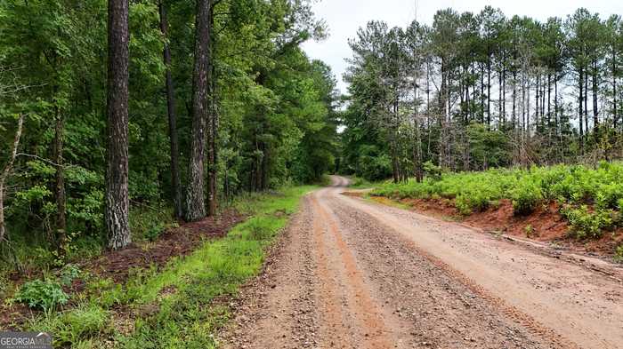 photo 55: Duck Pond Road, Lexington GA 30648