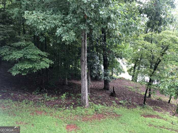 photo 2: 113 Beaver Run Trace, Thomaston GA 30286