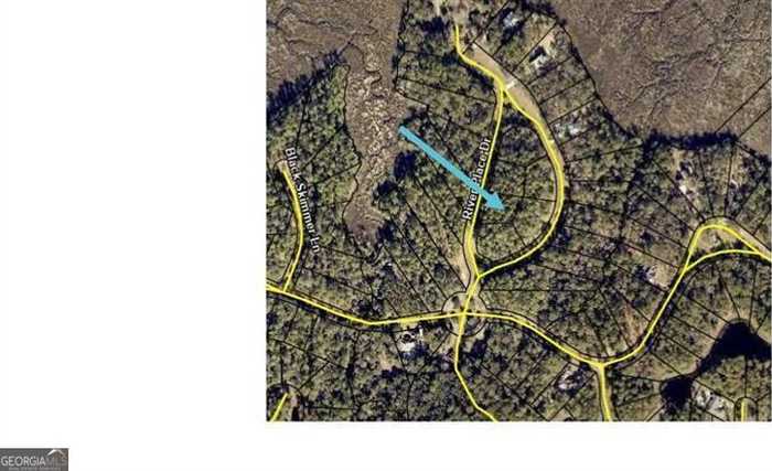 photo 2: 31-C River Place Drive Lot #C-31, Waverly GA 31565