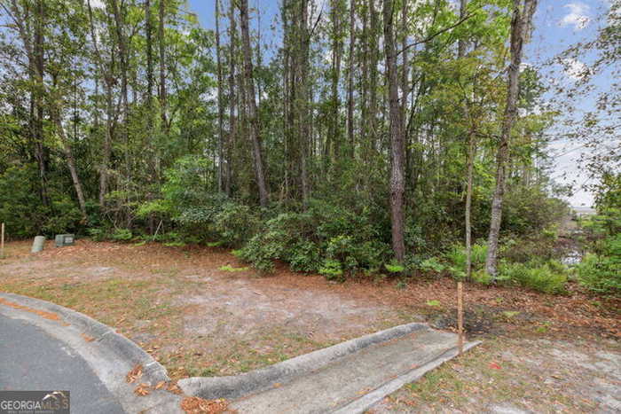 photo 24: Heron Point Lane, Woodbine GA 31569