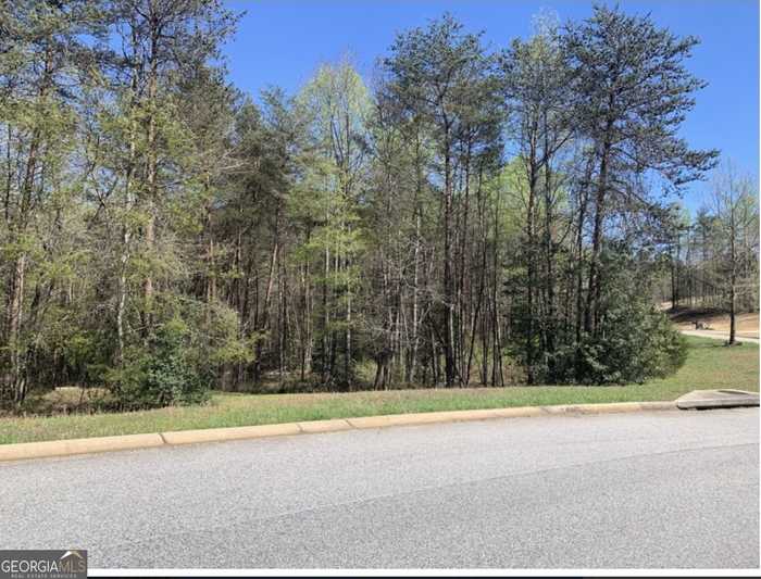 photo 2: LOT 44 Beachwood Drive, Cornelia GA 30531