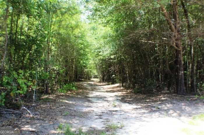 photo 2: Thundering Springs Road, East Dublin GA 31027