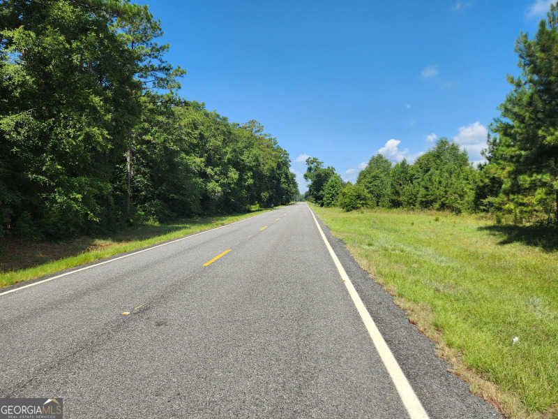 photo 3: W Coleman Road, Fort Gaines GA 39851