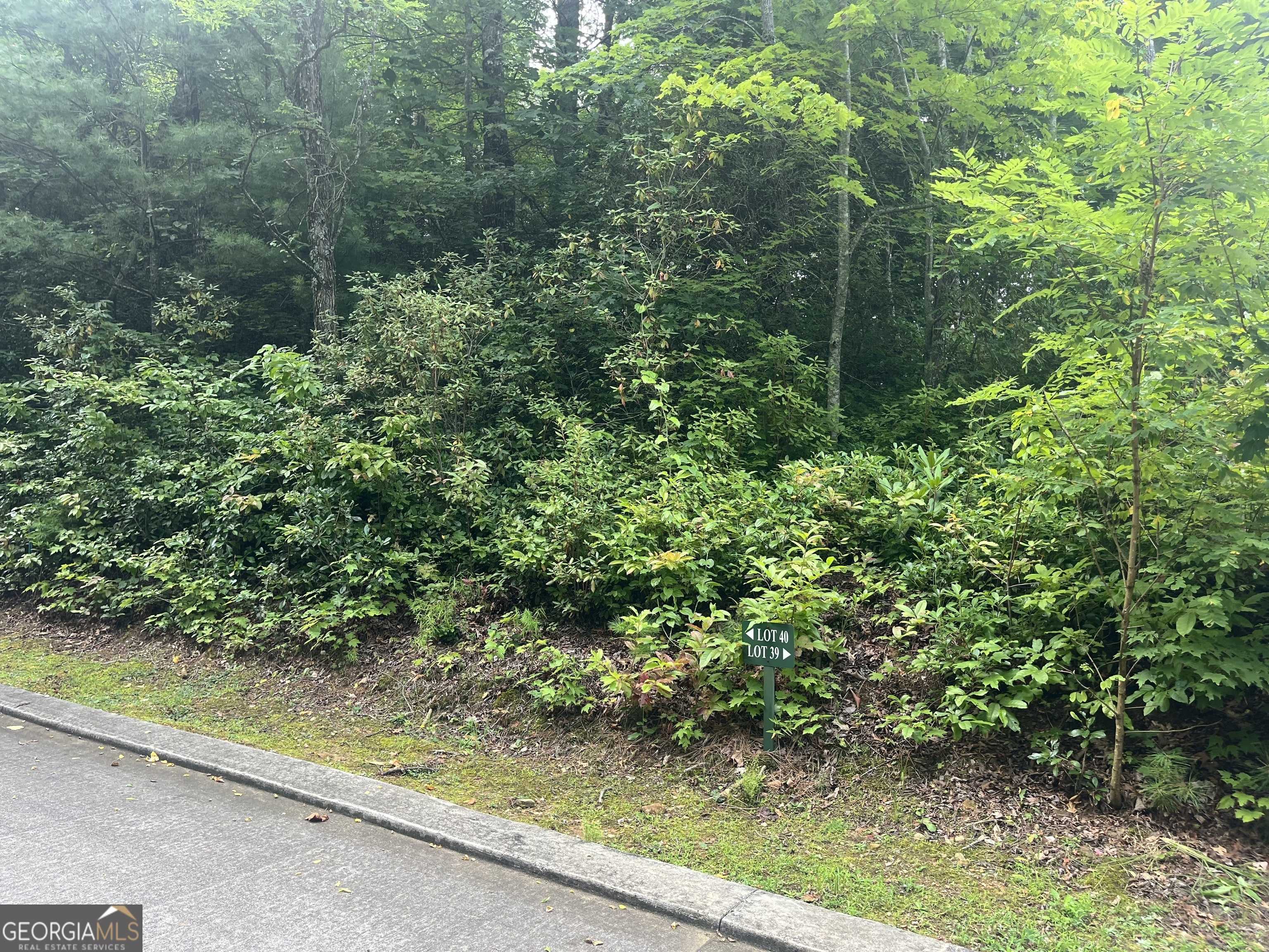 photo 3: LOT 40 Anderson Dr, Clayton GA 30525