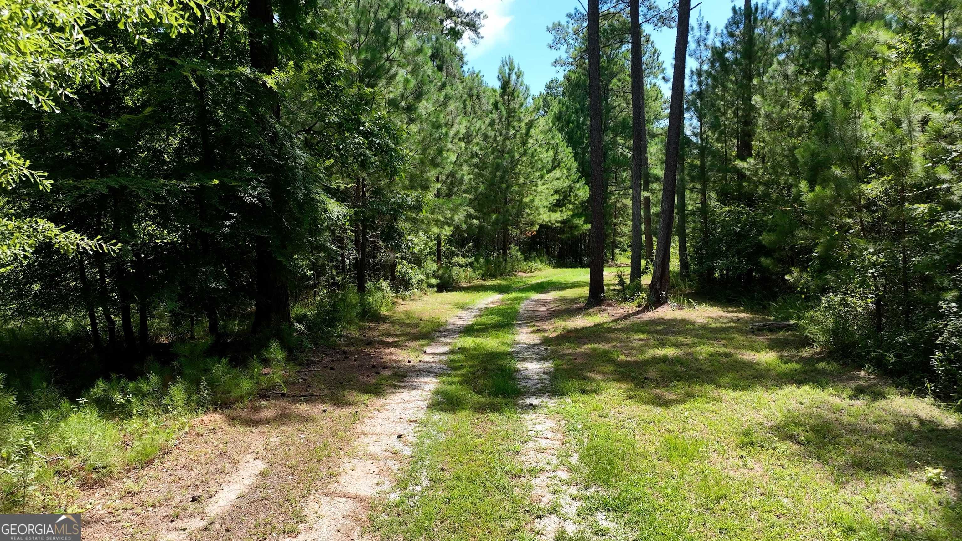 photo 2: TRACT 15 Aqua Rd, Madison GA 30650