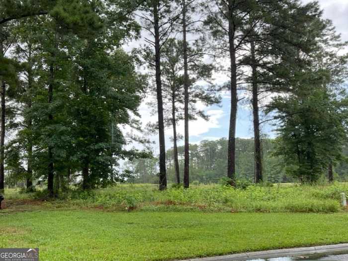 photo 10: LOT 52B Halfmoon Circle, Waverly GA 31565