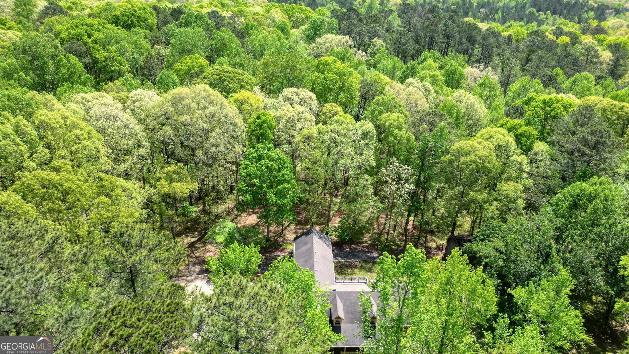 photo 3: 8760 Watkins Road, Chattahoochee Hills GA 30268