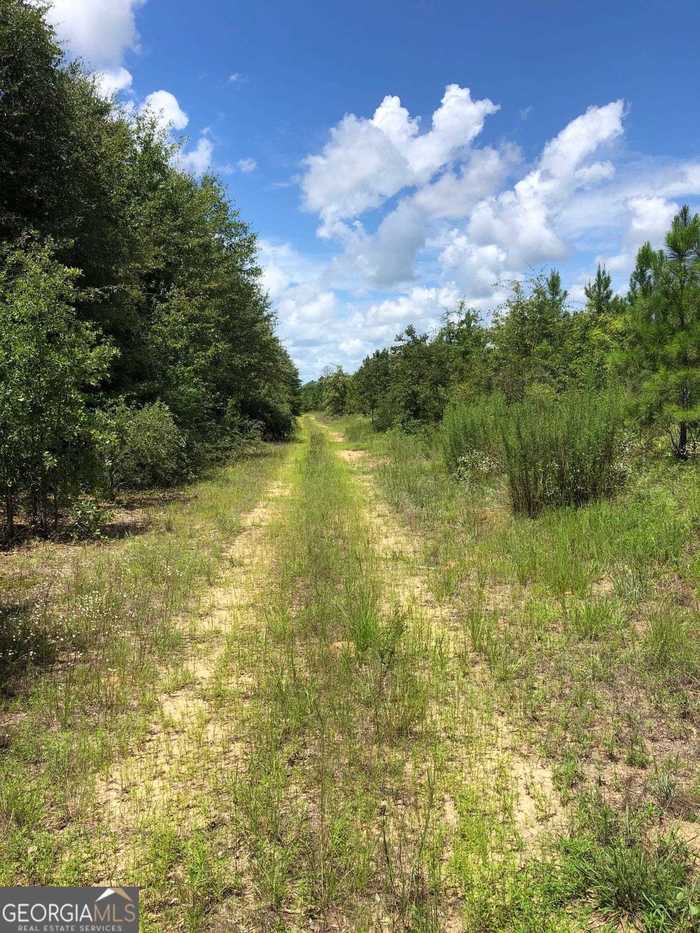 photo 1: Buckeye Road, East Dublin GA 31027