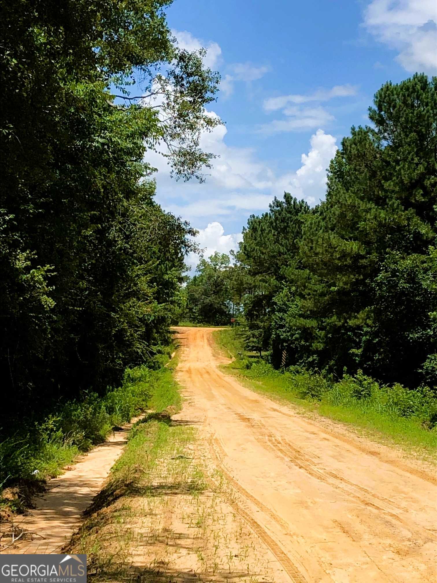 photo 1: Raymond Wilkes Road, Rockledge GA 30454