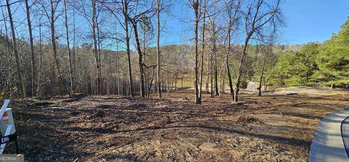 photo 1: 42 Lookout Point, Toccoa GA 30577