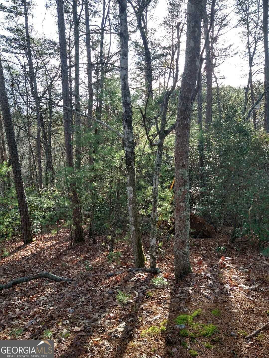 photo 3: Pine Knoll, Sautee Nacoochee GA 30571