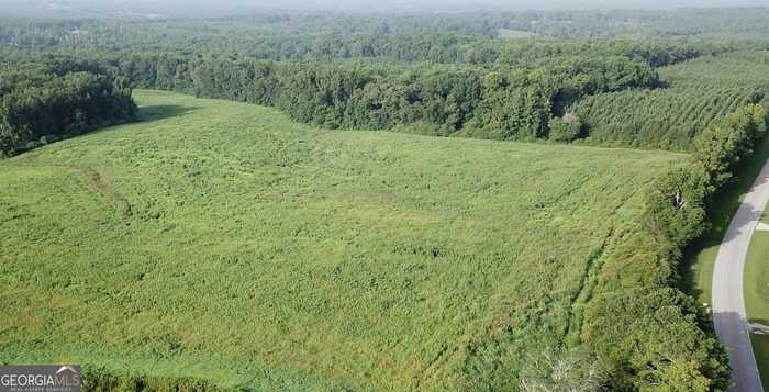 photo 27: GUM CREEK AIRPORT ROAD, Roopville GA 30170