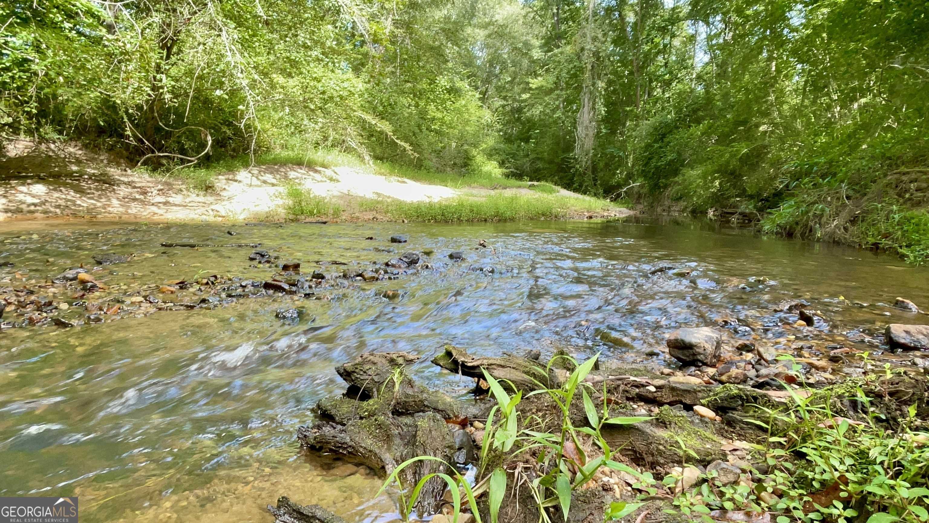 photo 3: GUM CREEK AIRPORT ROAD, Roopville GA 30170