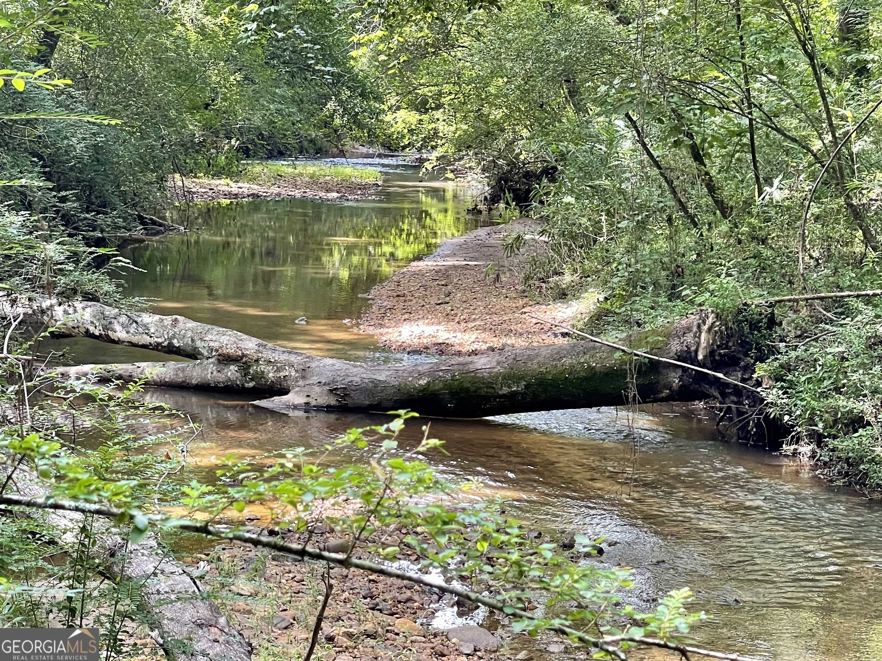 photo 2: GUM CREEK AIRPORT ROAD, Roopville GA 30170