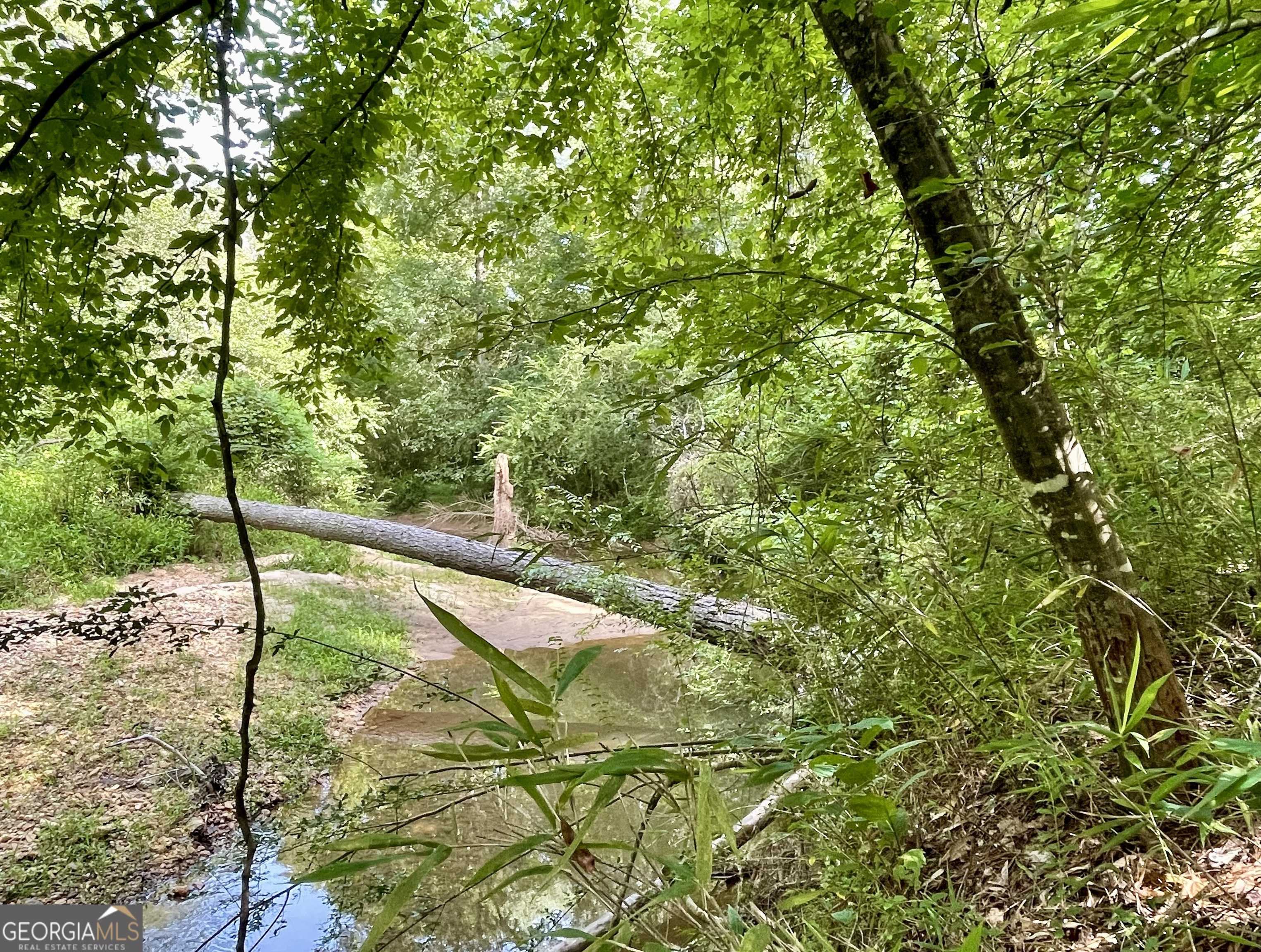 photo 3: GUM CREEK AIRPORT ROAD, Roopville GA 30170