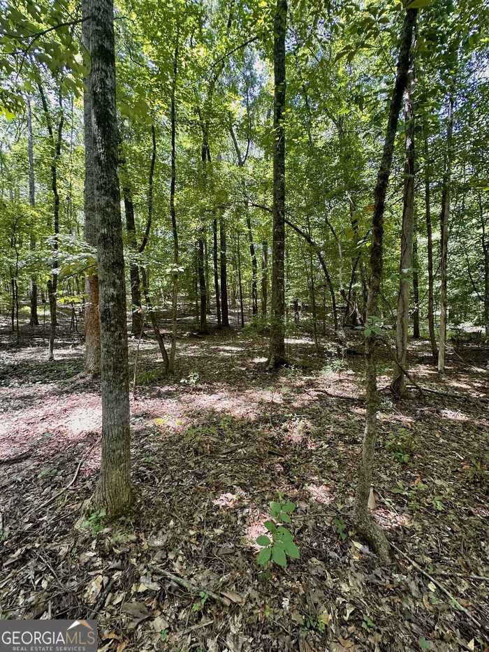 photo 14: 1.05 ACRES HEIDI TRL, Buckhead GA 30625