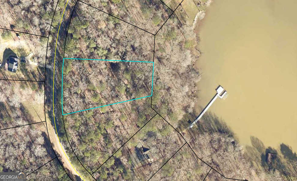 photo 3: 1.05 ACRES HEIDI TRL, Buckhead GA 30625