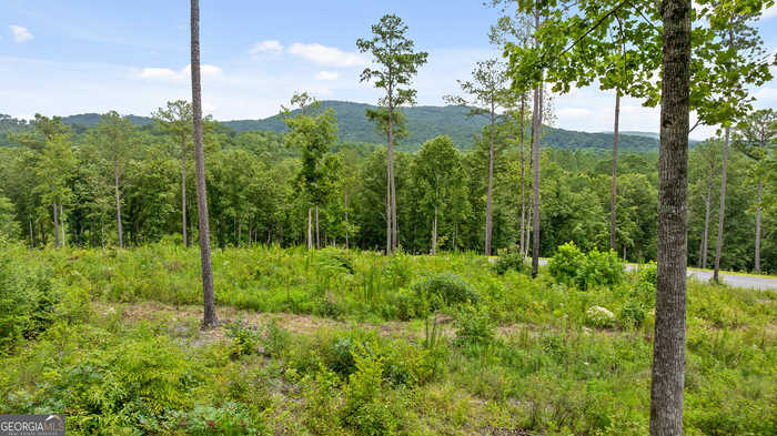 photo 1: LOT 345 Timber Creek Trail, Talking Rock GA 30175