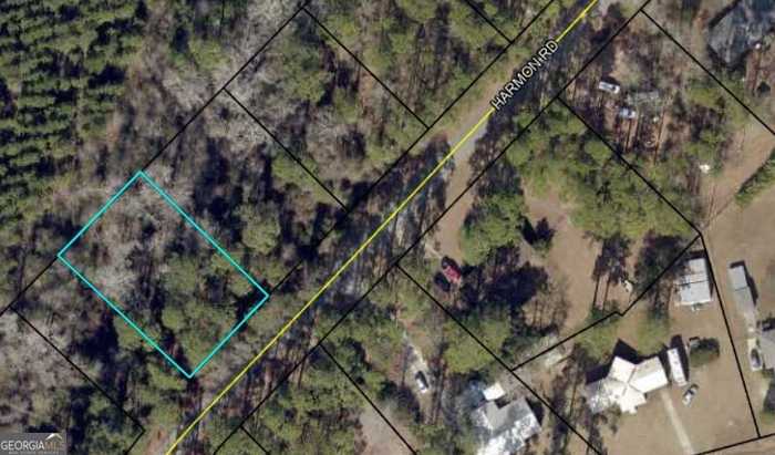 photo 5: Harmon Road, Swainsboro GA 30401