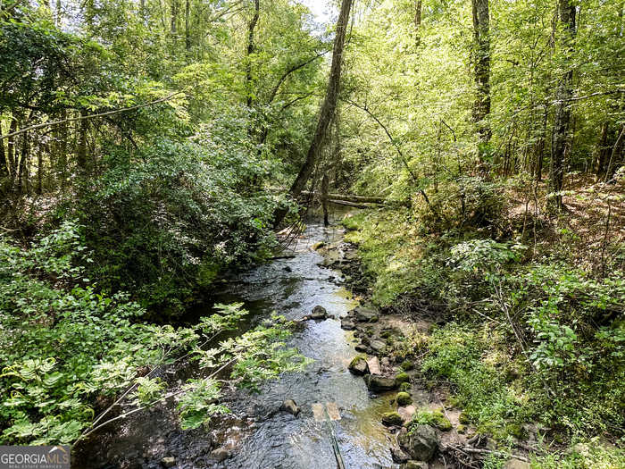 photo 24: Old Adgateville Road Unit 82.63 ACRES, Monticello GA 31064