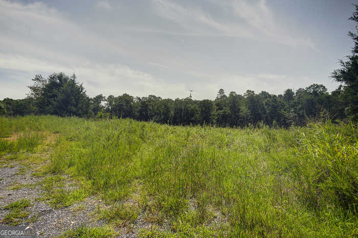 photo 2: Rhinehart Drive SE, Ranger GA 30734