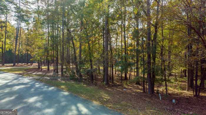 photo 20: 1131 Parrotts Cove Road, Greensboro GA 30642