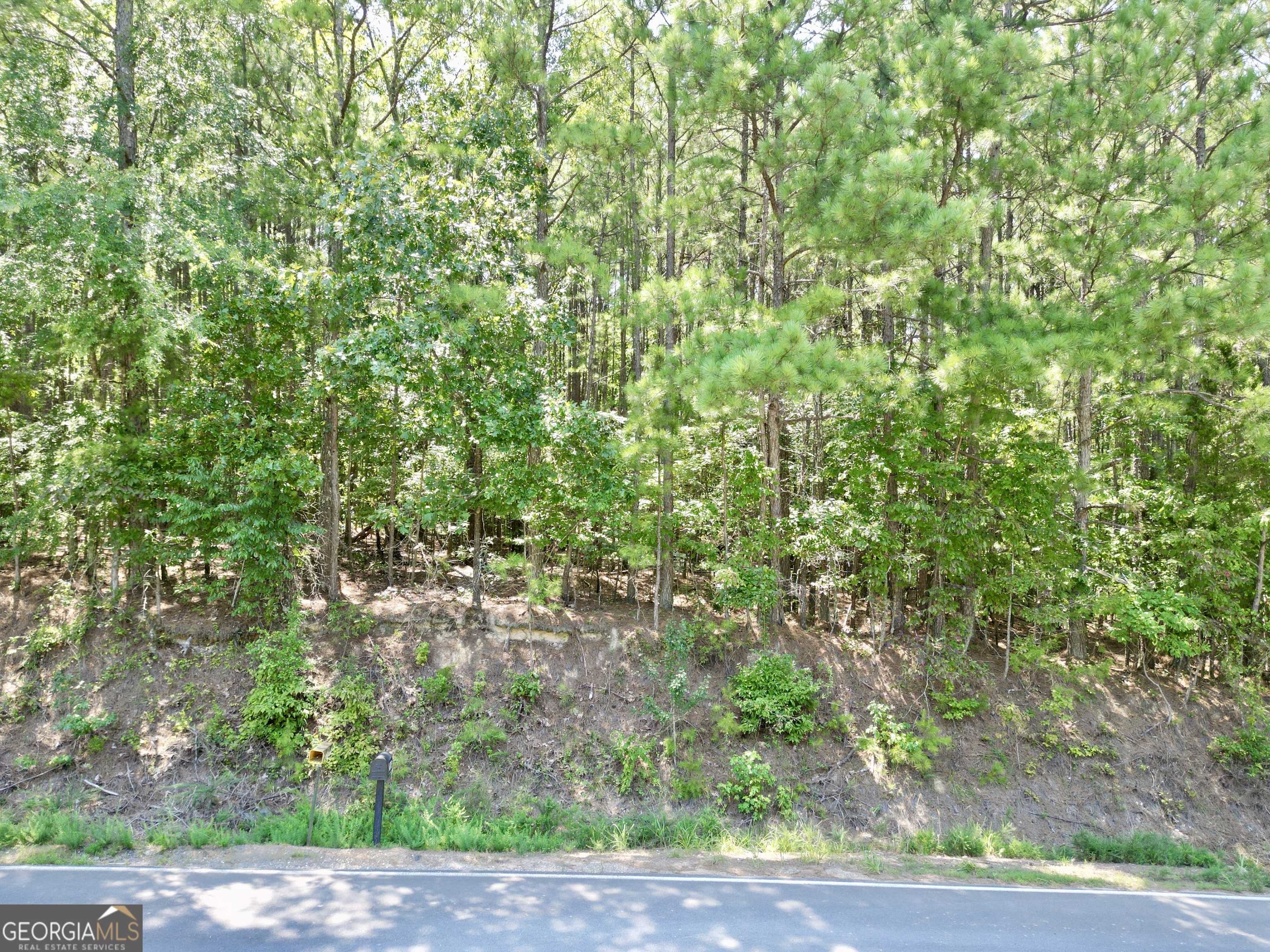 photo 1: SE Powell Road, Rome GA 30161