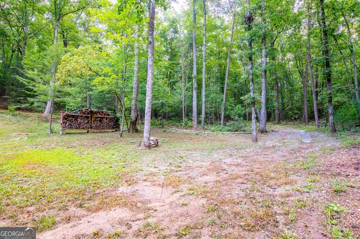 photo 66: 152 Star Lake Lane, Sautee Nacoochee GA 30571