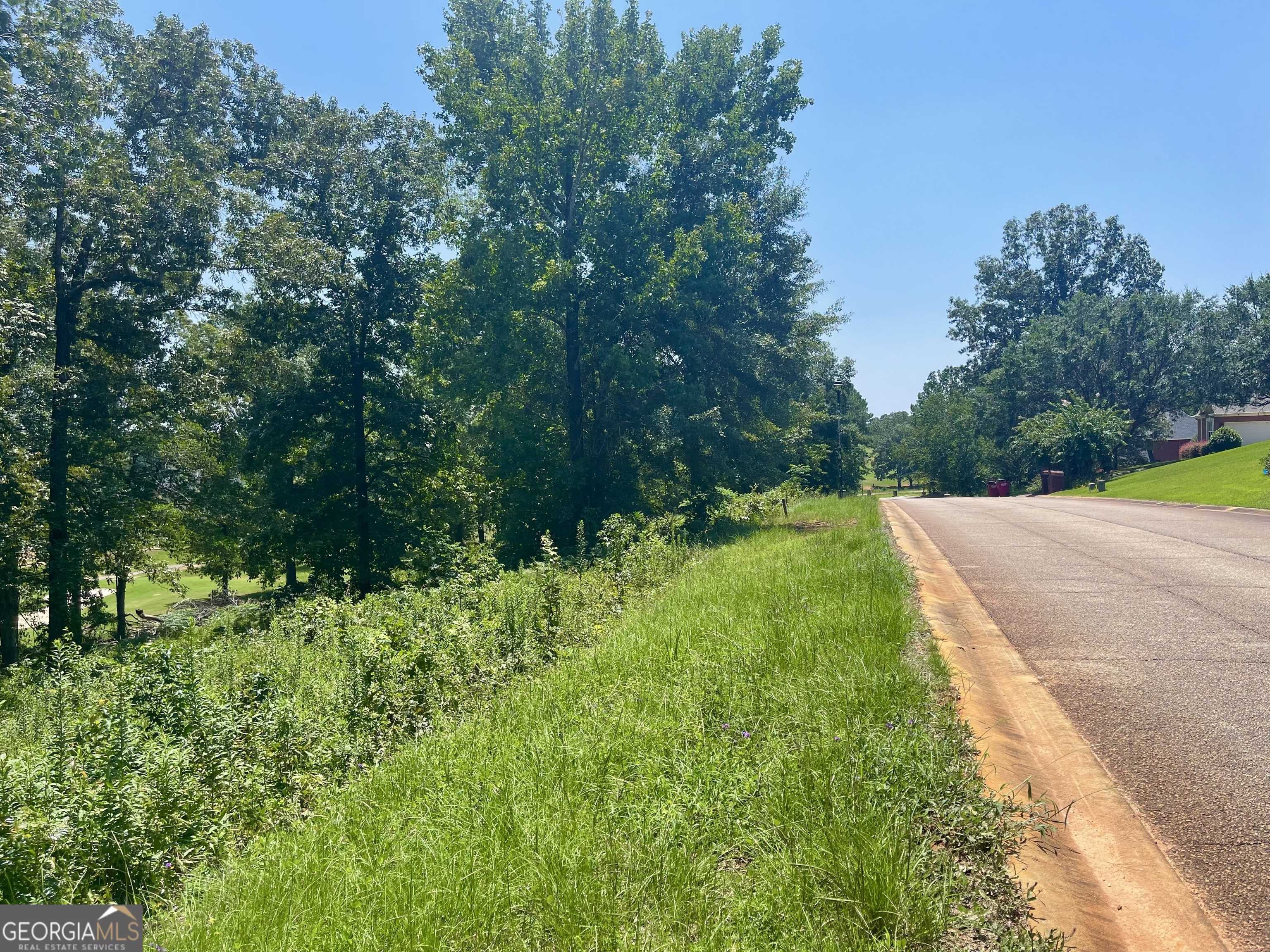 photo 2: LOT 11 Oak Drive, Hawkinsville GA 31036