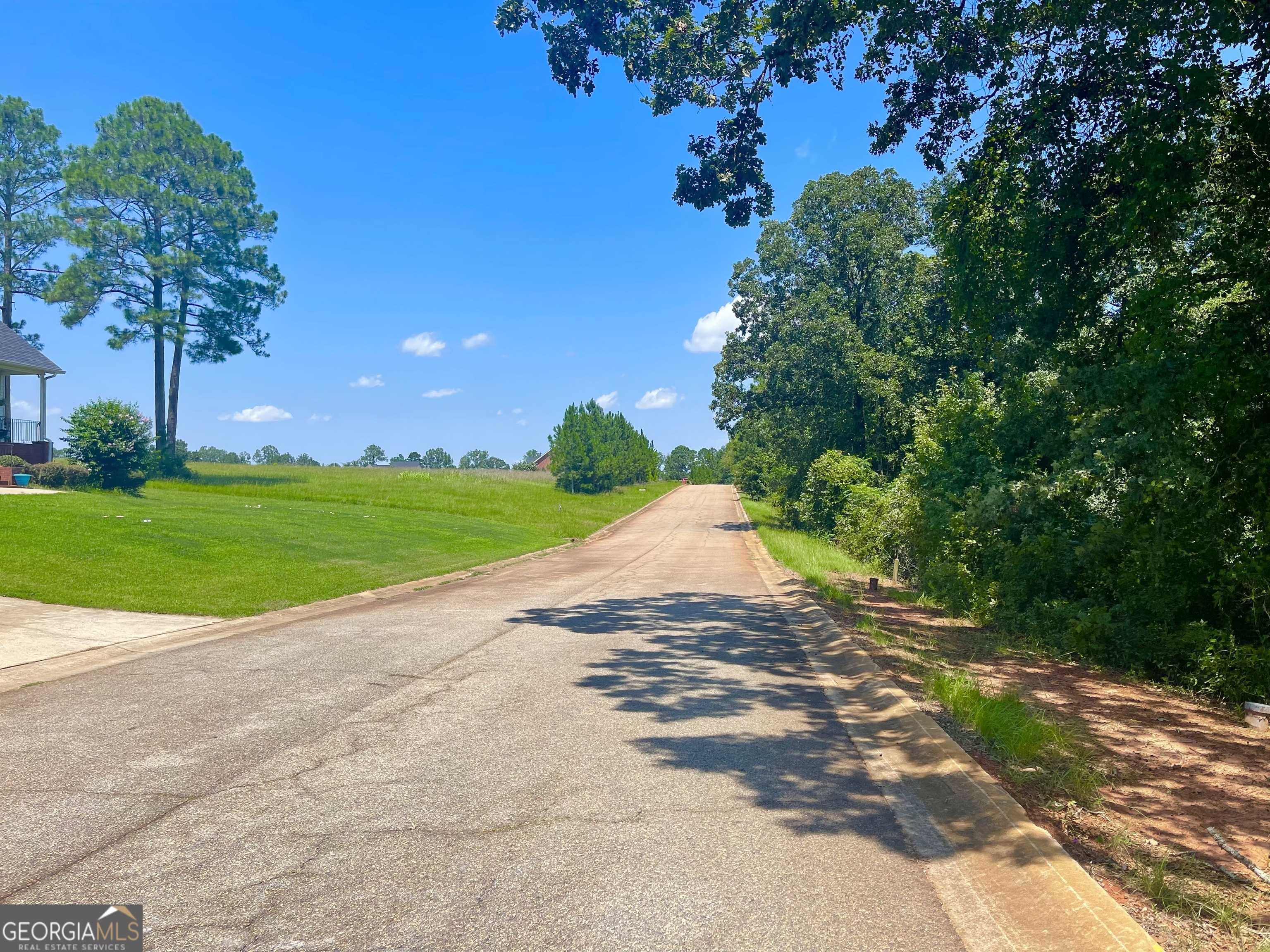 photo 3: LOT 11 Oak Drive, Hawkinsville GA 31036